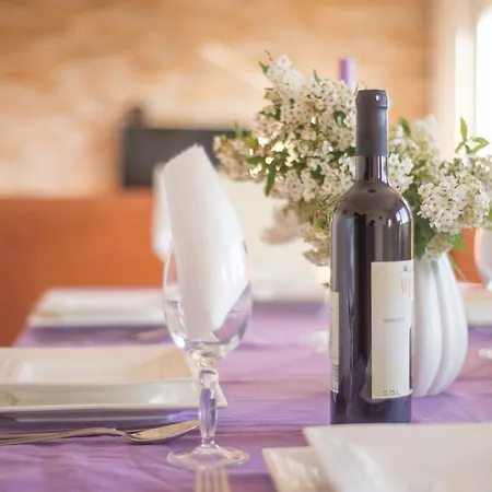 Apartamento Galjanic *