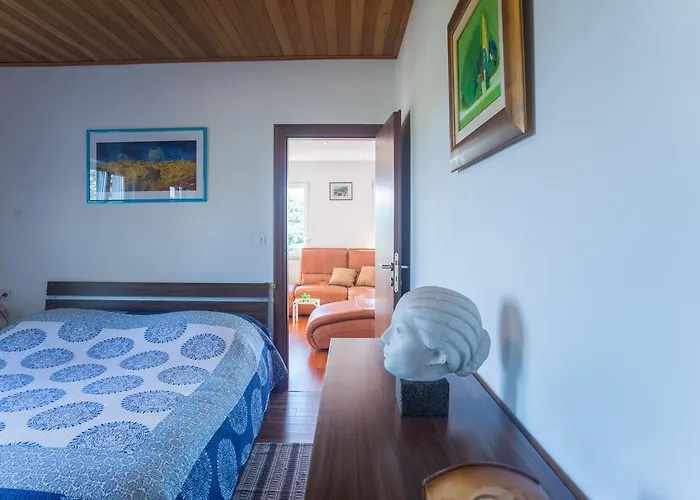 Galjanić Apartament Buzdohanj